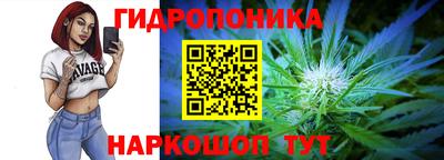 прущие грибы Пугачёв