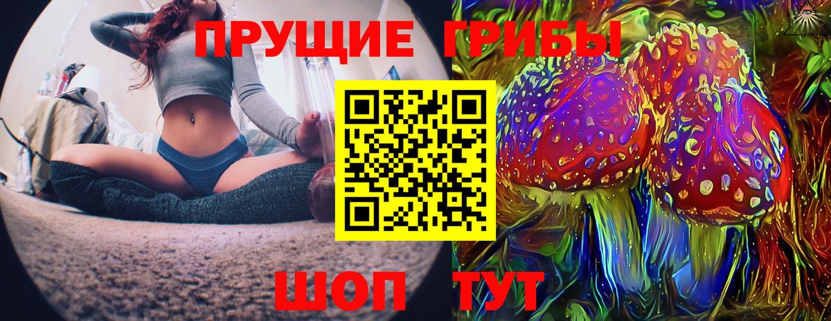 МЕФ Северск