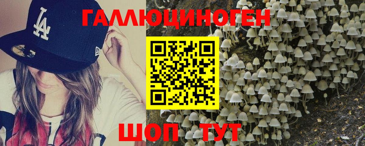 Северск  Галлюциногенные грибы Psilocybine cubensis  цена наркотик  Вход с VPN 